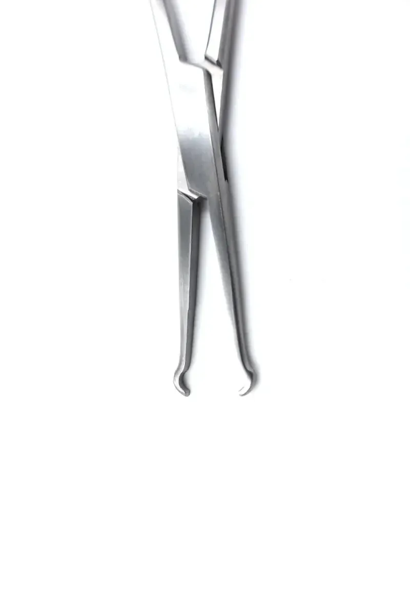 Ring Forceps 6 Inch – Stainless Steel Surgical Ring Tip Forceps for Tissue Handling