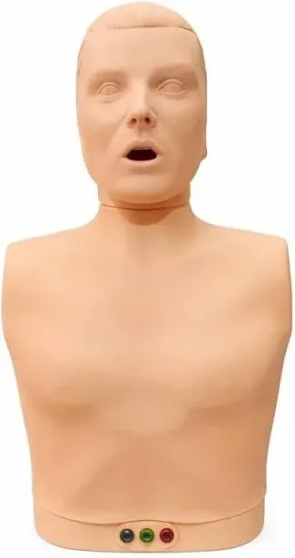 CPR Half Body Training Manikin – Adult CPR Training Simulator